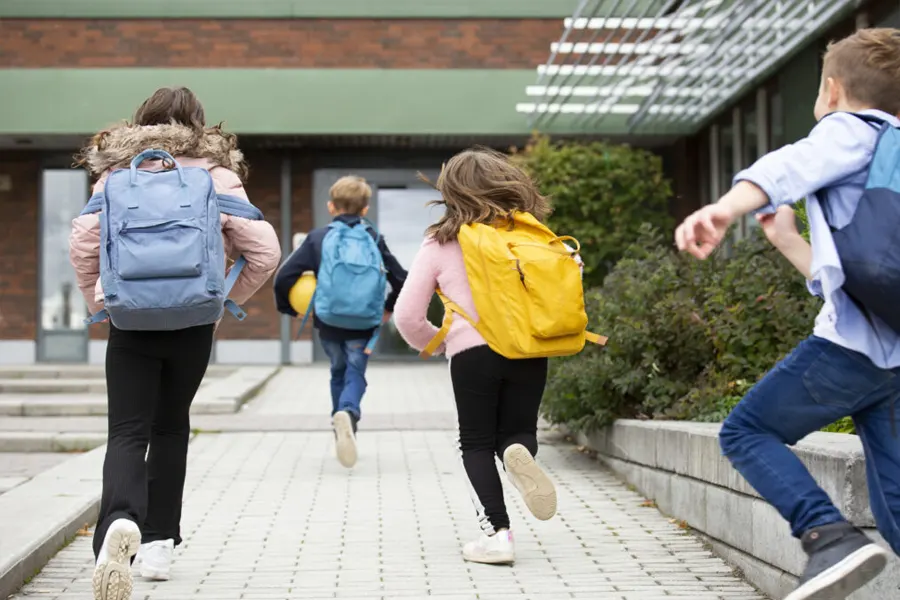 Como escolher a bolsa não é pesada